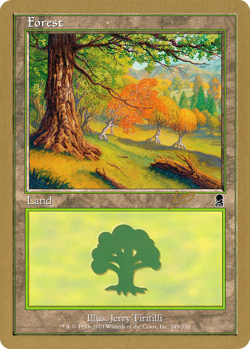 Forest (349) - 2002 Raphael Levy (ODY) (WCD-) - World Championship Decks 2002