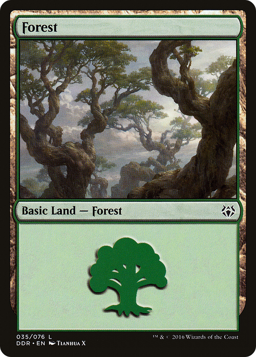 Forest (035) (DDR-035) - Duel Decks: Nissa vs. Ob Nixilis