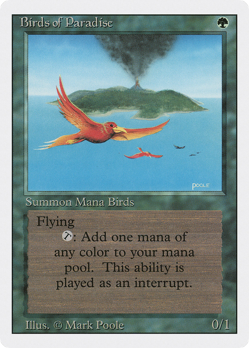 Birds of Paradise (3ED-) - Revised Edition