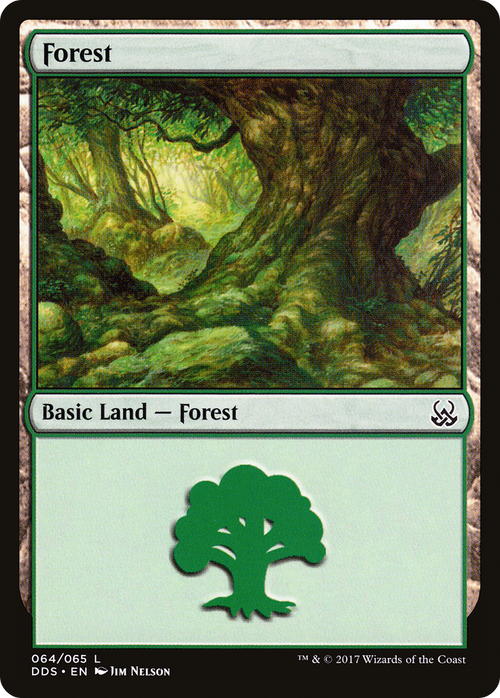 Forest (064) (DDS-064) - Duel Decks: Mind vs. Might