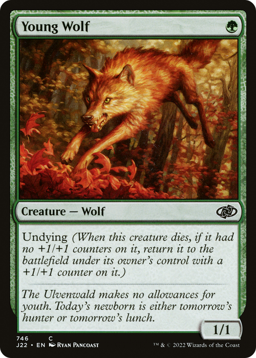 Young Wolf (J22-746) - Jumpstart 2022