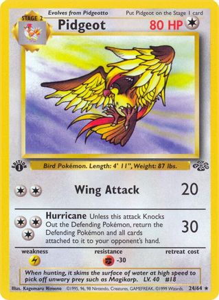 Pidgeot (24) (24) 024/64  - 1st Edition Jungle - Rare
