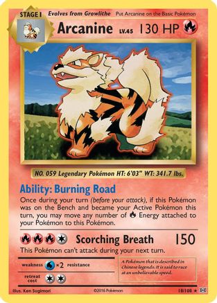 Arcanine 018  XY  Evolutions - Rare