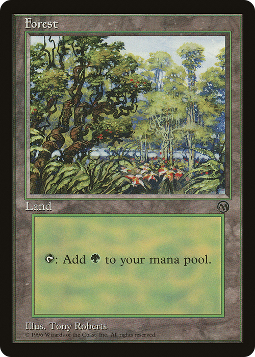 Forest (1996) (ARENA-) - Arena League 1996
