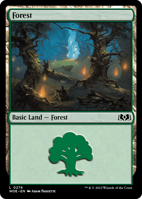 Forest (0276) (WOE-276) - Wilds of Eldraine Foil