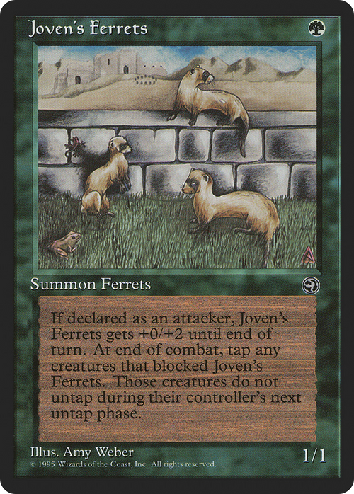 Joven's Ferrets (HML-) - Homelands
