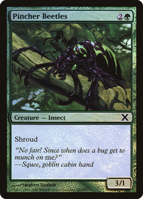 Pincher Beetles (10E-285★) - Tenth Edition Foil