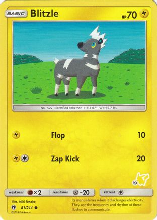 Blitzle - 81/214 (#19 Pikachu Stamped)/214  Battle Academy - Promo