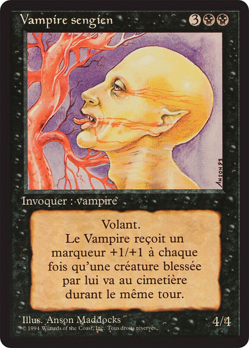 Sengir Vampire (FBB-) - Foreign Black Border