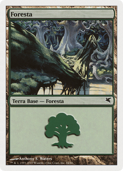 Forest (PSAL-K34) - Salvat 2005