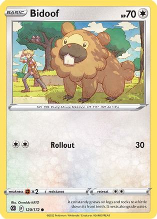 Bidoof 120  SWSH09 Brilliant Stars - Common