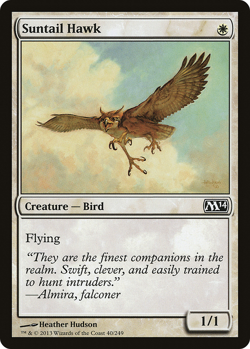 Suntail Hawk (M14-040) - Magic 2014
