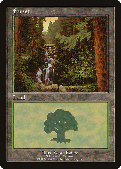 Forest - Schwarzwald (EURO-001) - European Land Program