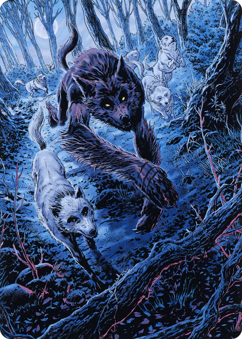 Untamed Pup // Untamed Pup (AMID-077) - Midnight Hunt Art Series (Borderless)