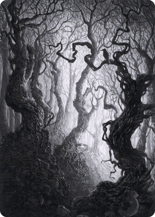 Forest // Forest (AMID-080) - Midnight Hunt Art Series (Borderless)