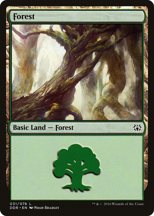 Forest (031) (DDR-031) - Duel Decks: Nissa vs. Ob Nixilis