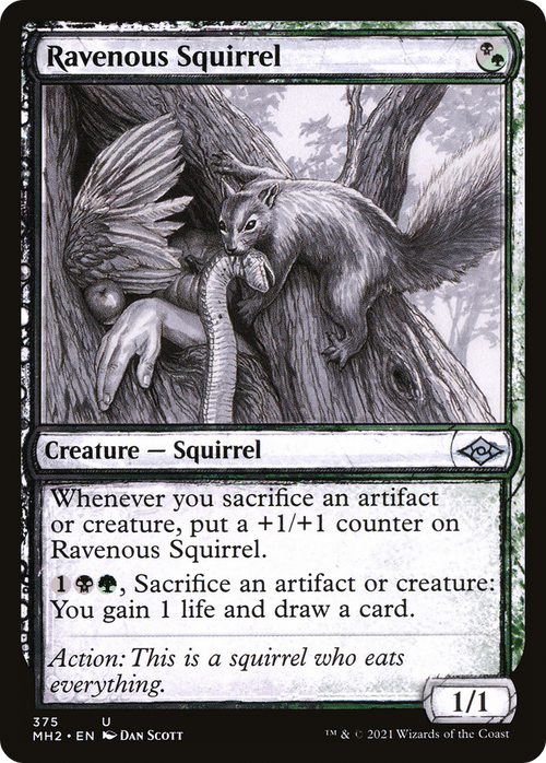Ravenous Squirrel (Showcase) (MH2-375) - Modern Horizons 2: (Showcase)