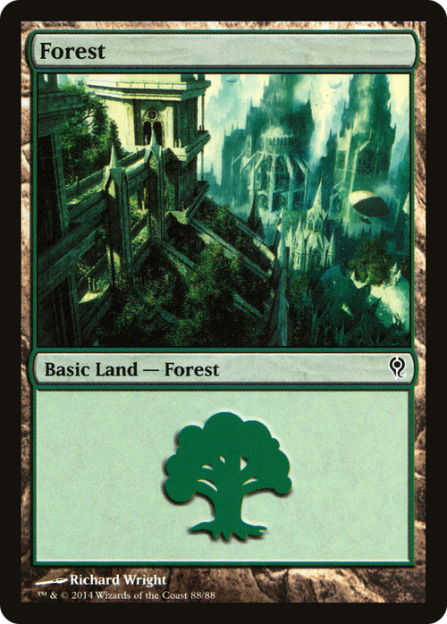 Forest (88) (DDM-088) - Duel Decks: Jace vs. Vraska