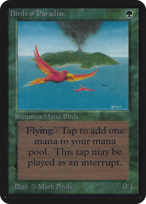 Birds of Paradise (LEA-) - Limited Edition Alpha