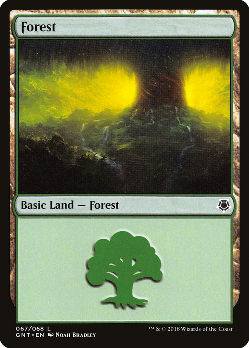 Forest (67) (GNT-067) - Game Night