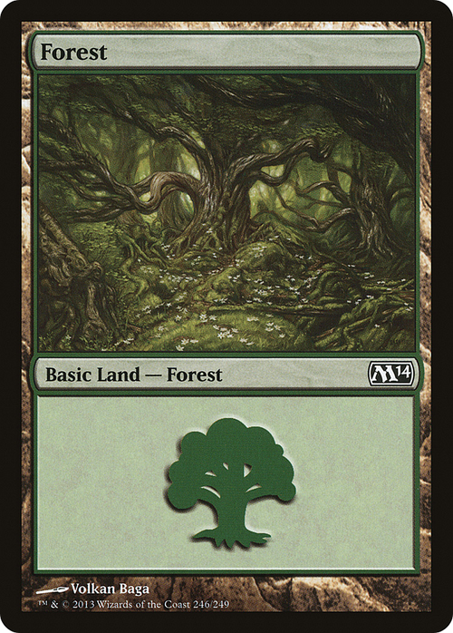 Forest (246) (M14-246) - Magic 2014