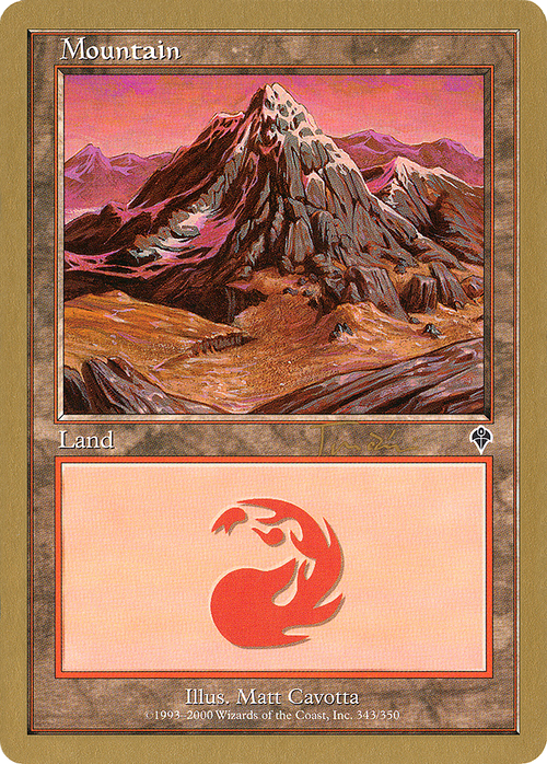 Mountain (343) - 2001 Jan Tomcani (MMQ) (WCD-) - World Championship Decks 2001