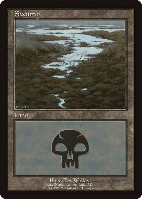 Swamp - Lake District National Park (EURO-010) - European Land Program