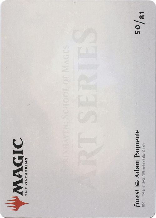 Forest // Forest (ASTX-050) - Strixhaven Art Series (Borderless) Foil