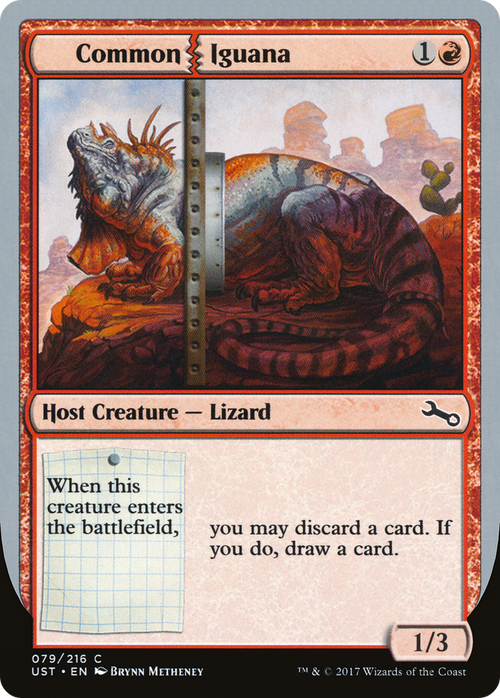 Common Iguana (UST-079) - Unstable