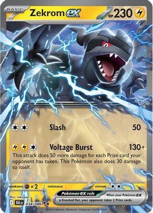 Zekrom ex 034  - Holofoil SV Black Bolt - Double Rare