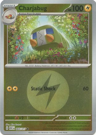 Charjabug (Energy Symbol Pattern) 065  - Reverse Holofoil ME Ascended Heroes - Common