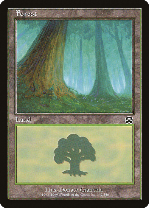 Forest (347) (MMQ-347) - Mercadian Masques
