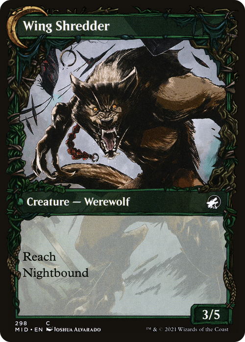 Bird Admirer (Showcase) (MID-298) - Innistrad: Midnight Hunt: (Showcase, Double Faced Transform) Foil