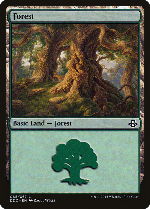 Forest (065) (DDO-065) - Duel Decks: Elspeth vs. Kiora