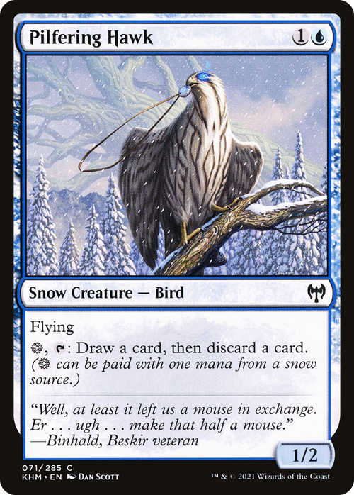 Pilfering Hawk (KHM-071) - Kaldheim: (snow) Foil