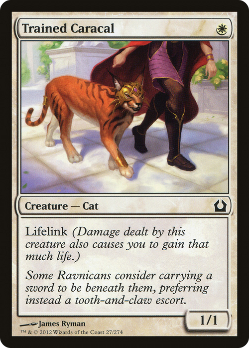 Trained Caracal (RTR-027) - Return to Ravnica Foil