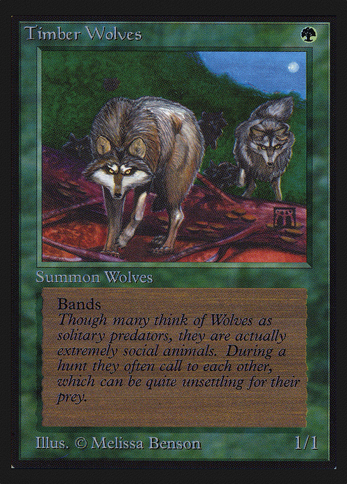 Timber Wolves (IE) (IED-) - Intl. Collectors' Edition