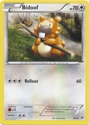 Bidoof  Kalos Starter Set - Common