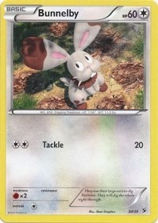 Bunnelby  Kalos Starter Set - Common