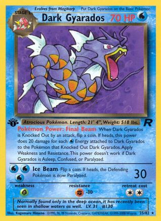 Dark Gyarados (25) (25) 025  - 1st Edition Team Rocket - Rare