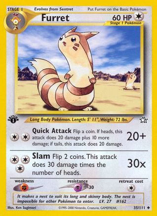 Furret 035  - 1st Edition Neo Genesis - Uncommon