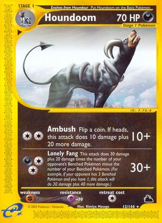 Houndoom (12)/144  Skyridge - Rare