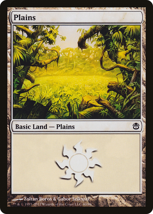 Plains (40) (DDH-040) - Duel Decks: Ajani vs. Nicol Bolas