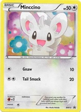 Minccino - BW13 (Cosmos Holo)  - Holofoil Black and White Promos - Promo
