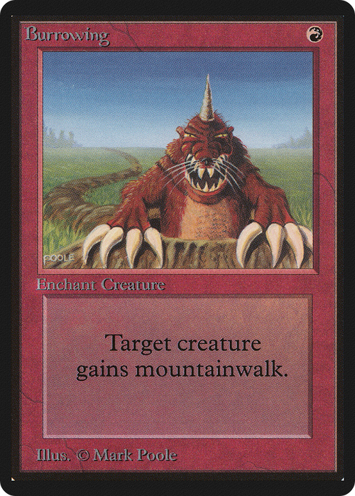 Burrowing (LEB-) - Limited Edition Beta