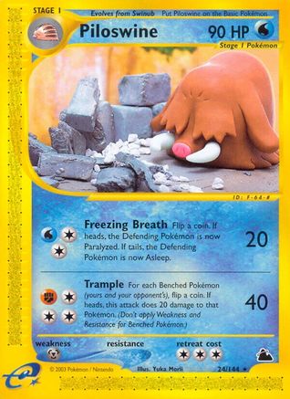 Piloswine (24)/144  Skyridge - Rare