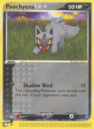 Poochyena - 65/109/109  - Reverse Holofoil Ruby and Sapphire - Common
