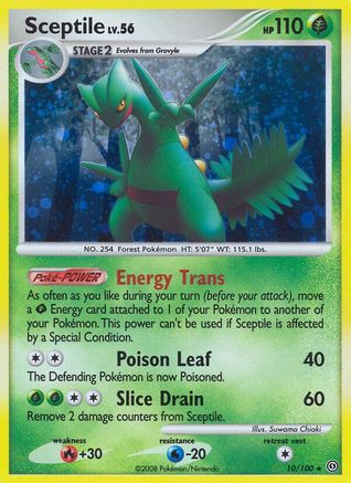 Sceptile  - Holofoil Stormfront - Holo Rare
