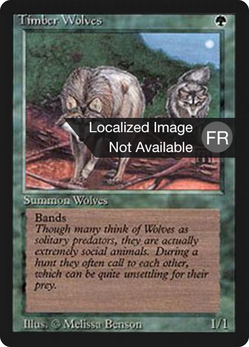 Timber Wolves (FBB-) - Foreign Black Border