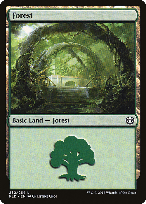 Forest (262) (KLD-262) - Kaladesh